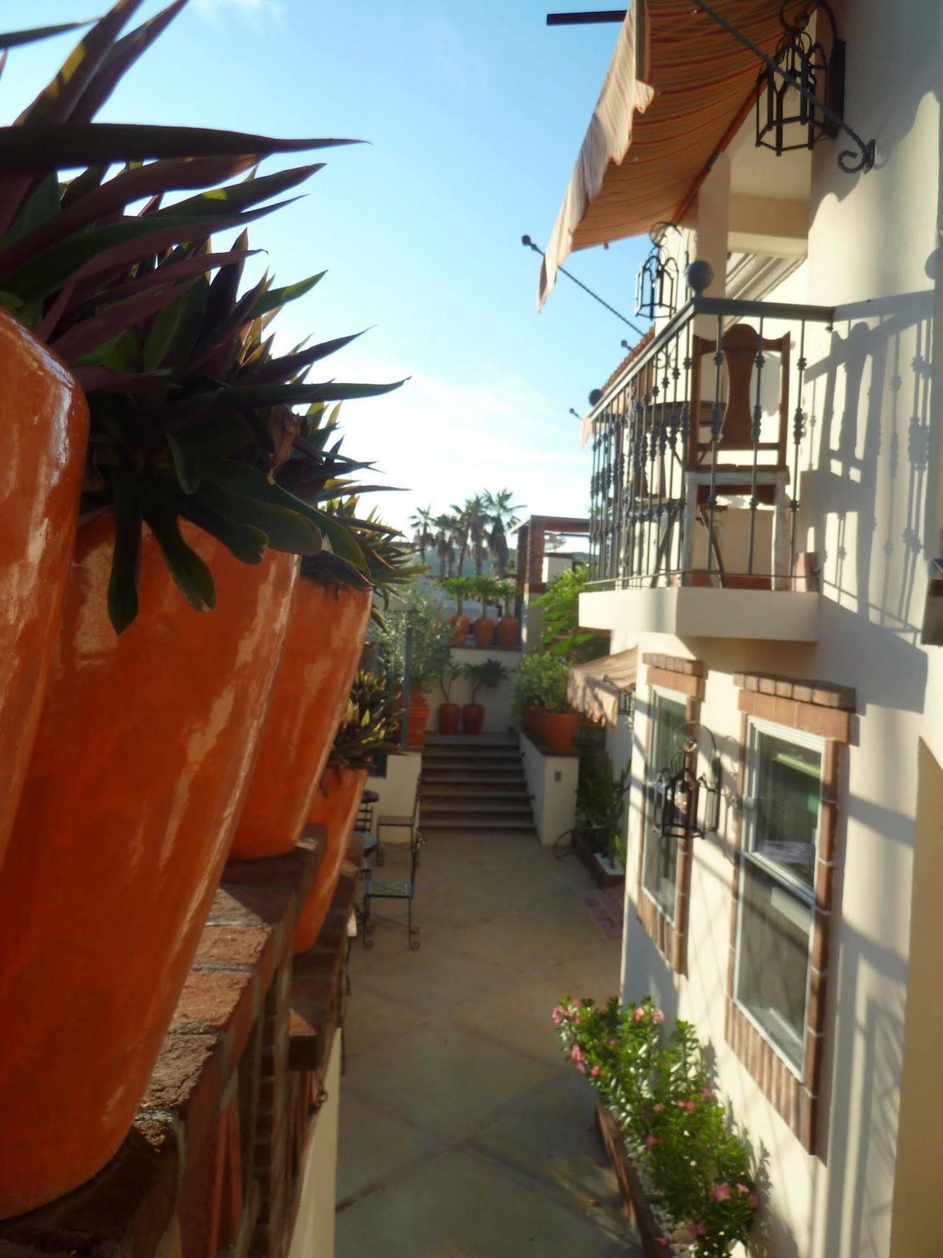 The Suites By Villa Valentina San José del Cabo Eksteriør billede